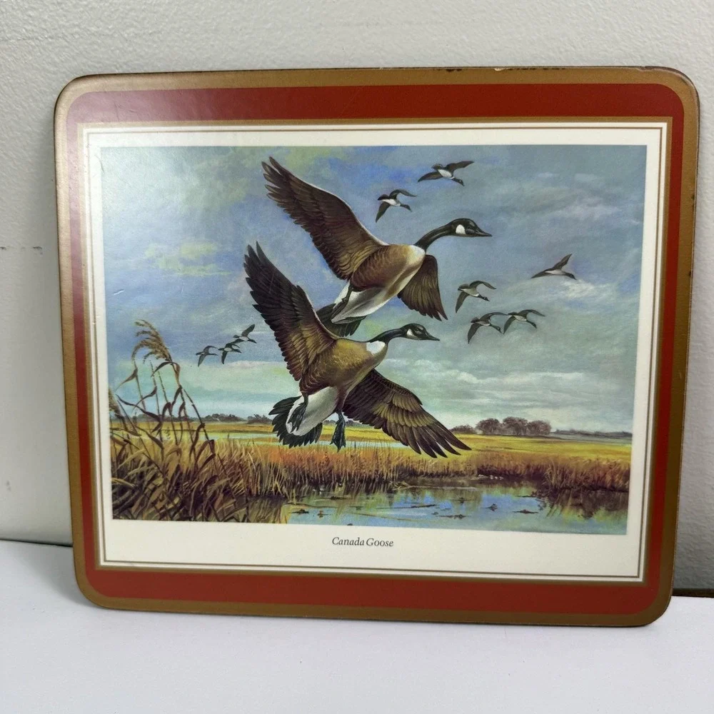 Game Bird Cork Placemats Set Of 4 Plastic Canada Goose Pheasant Grouse Snipe